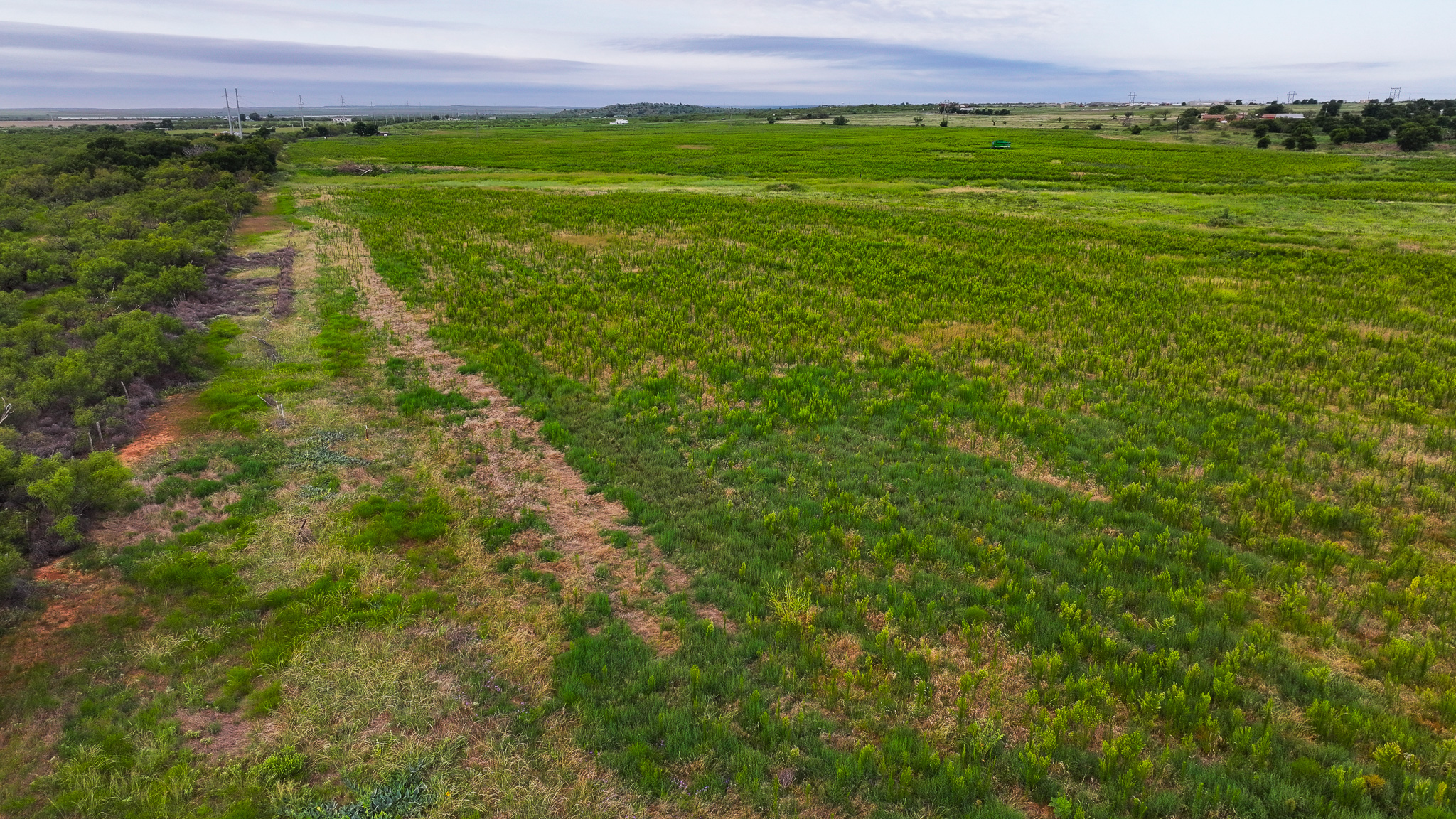 93 acres on Hwy 287 in Hardeman County, Texas  TBD Hwy 287, Quanah, Texas, 79252