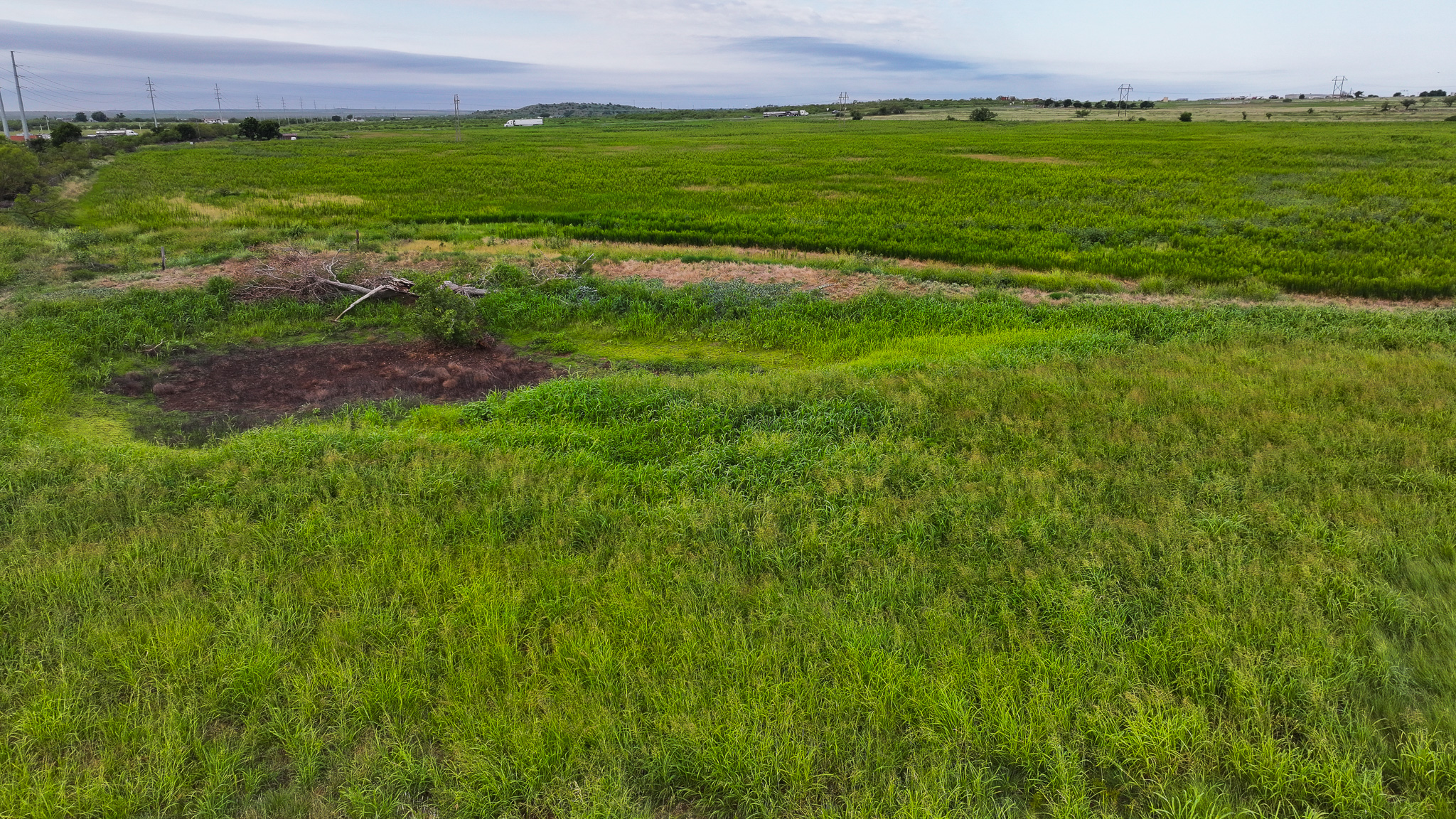 93 acres on Hwy 287 in Hardeman County, Texas  TBD Hwy 287, Quanah, Texas, 79252