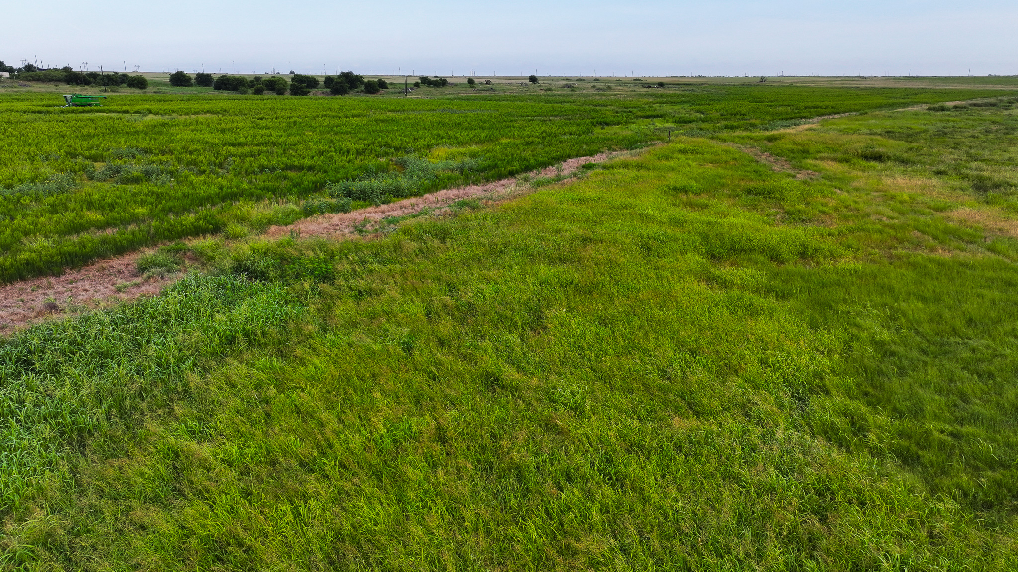 93 acres on Hwy 287 in Hardeman County, Texas  TBD Hwy 287, Quanah, Texas, 79252