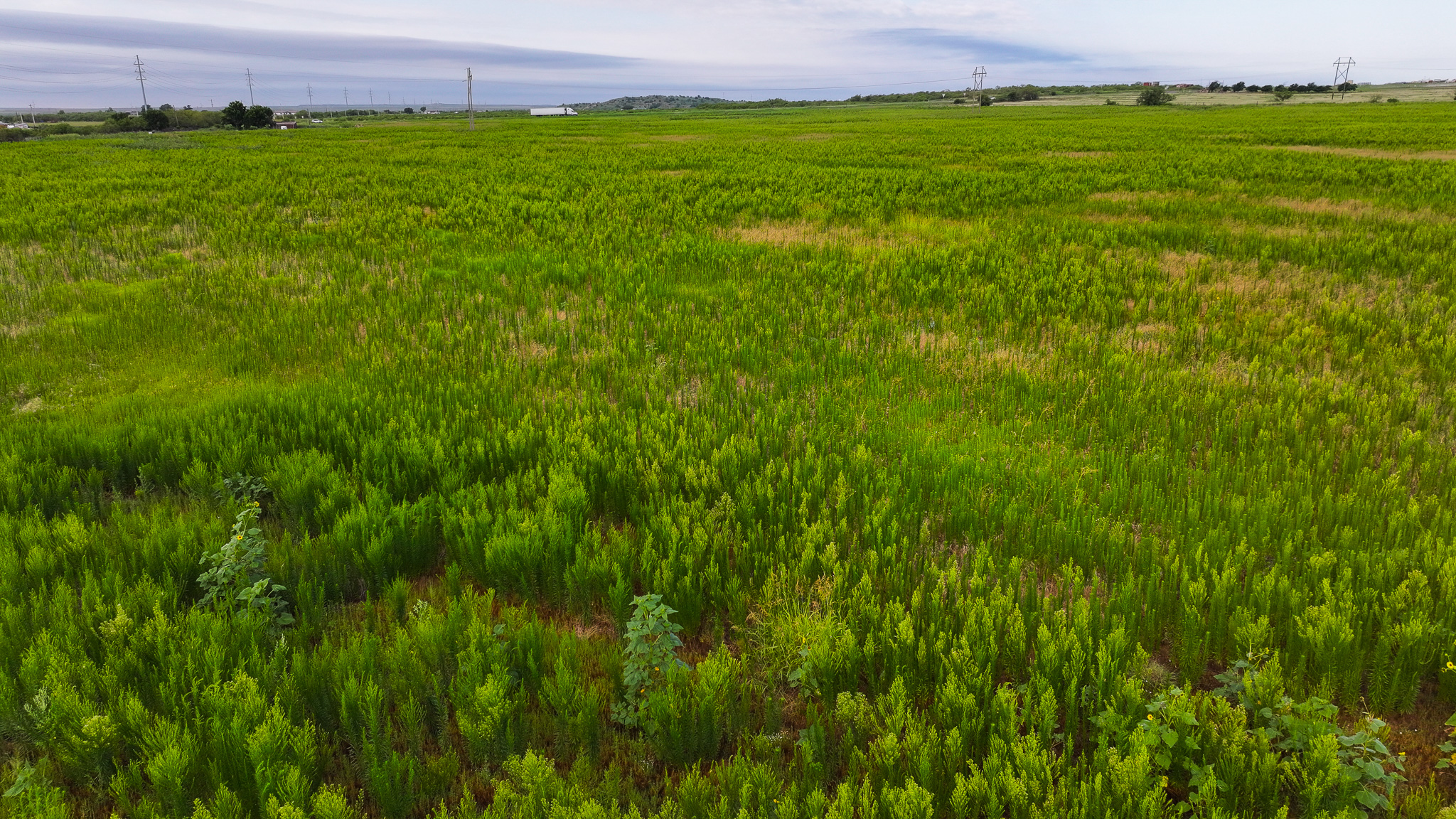93 acres on Hwy 287 in Hardeman County, Texas  TBD Hwy 287, Quanah, Texas, 79252