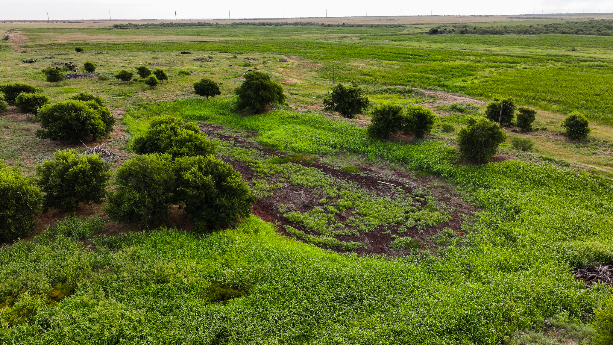 93 acres on Hwy 287 in Hardeman County, Texas  TBD Hwy 287, Quanah, Texas, 79252