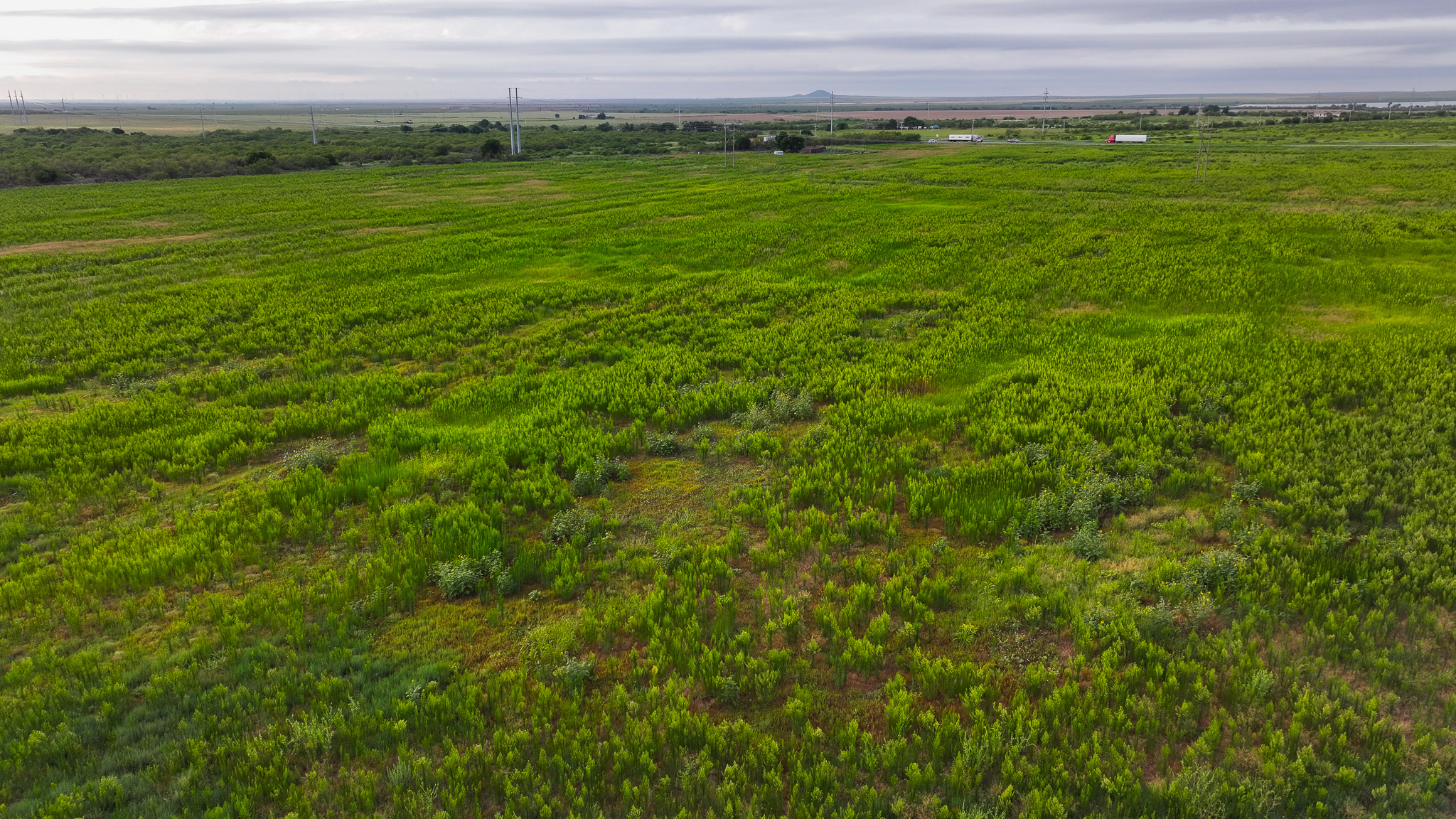 93 acres on Hwy 287 in Hardeman County, Texas  TBD Hwy 287, Quanah, Texas, 79252