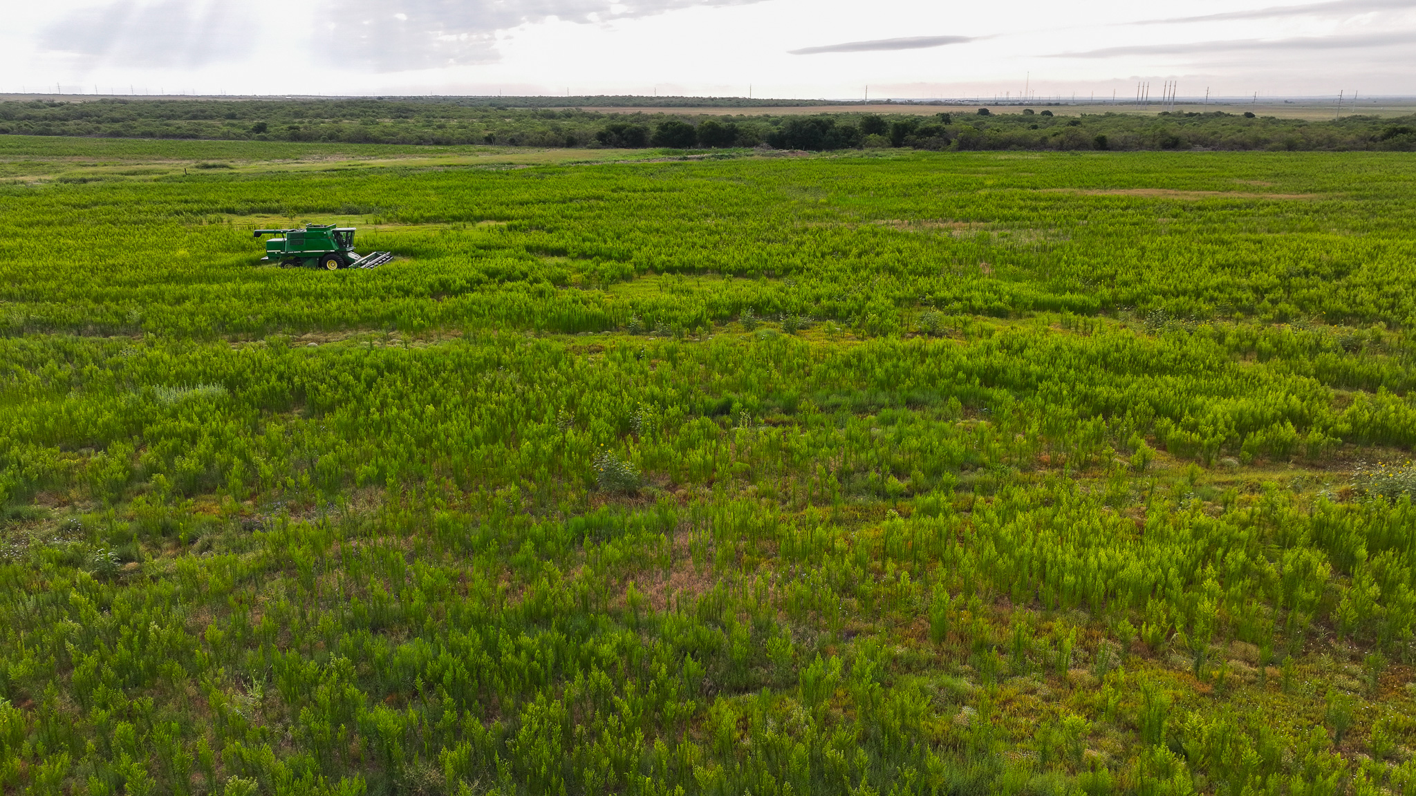 93 acres on Hwy 287 in Hardeman County, Texas  TBD Hwy 287, Quanah, Texas, 79252