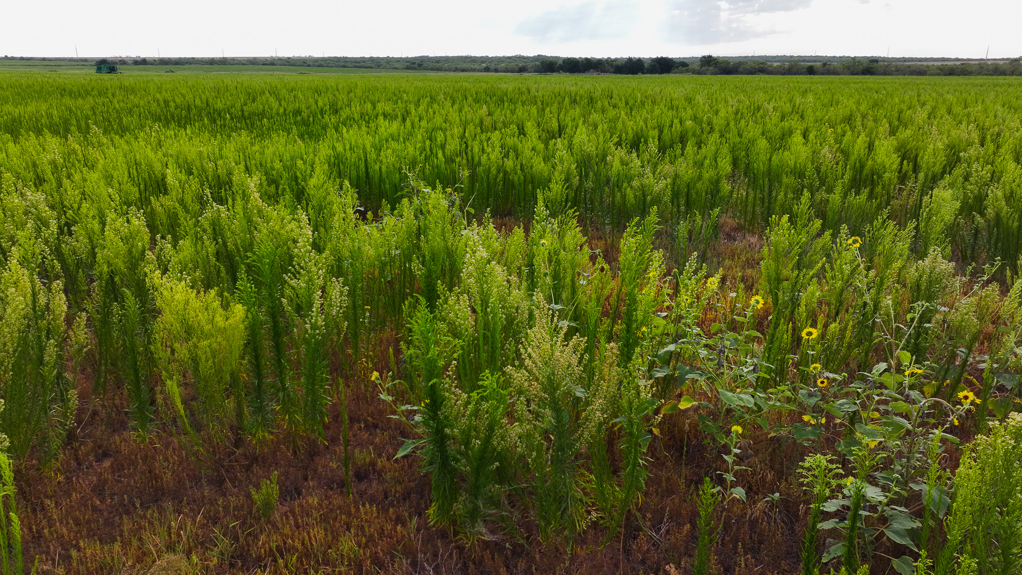 93 acres on Hwy 287 in Hardeman County, Texas  TBD Hwy 287, Quanah, Texas, 79252