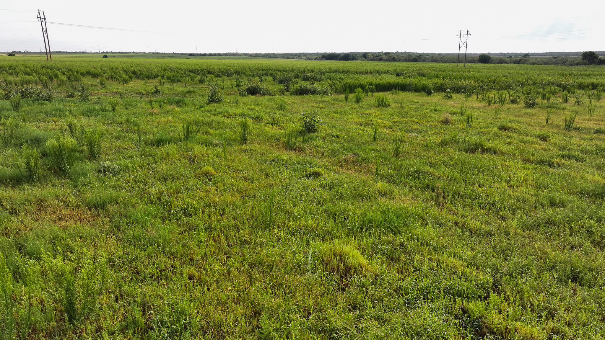 93 acres on Hwy 287 in Hardeman County, Texas  TBD Hwy 287, Quanah, Texas, 79252