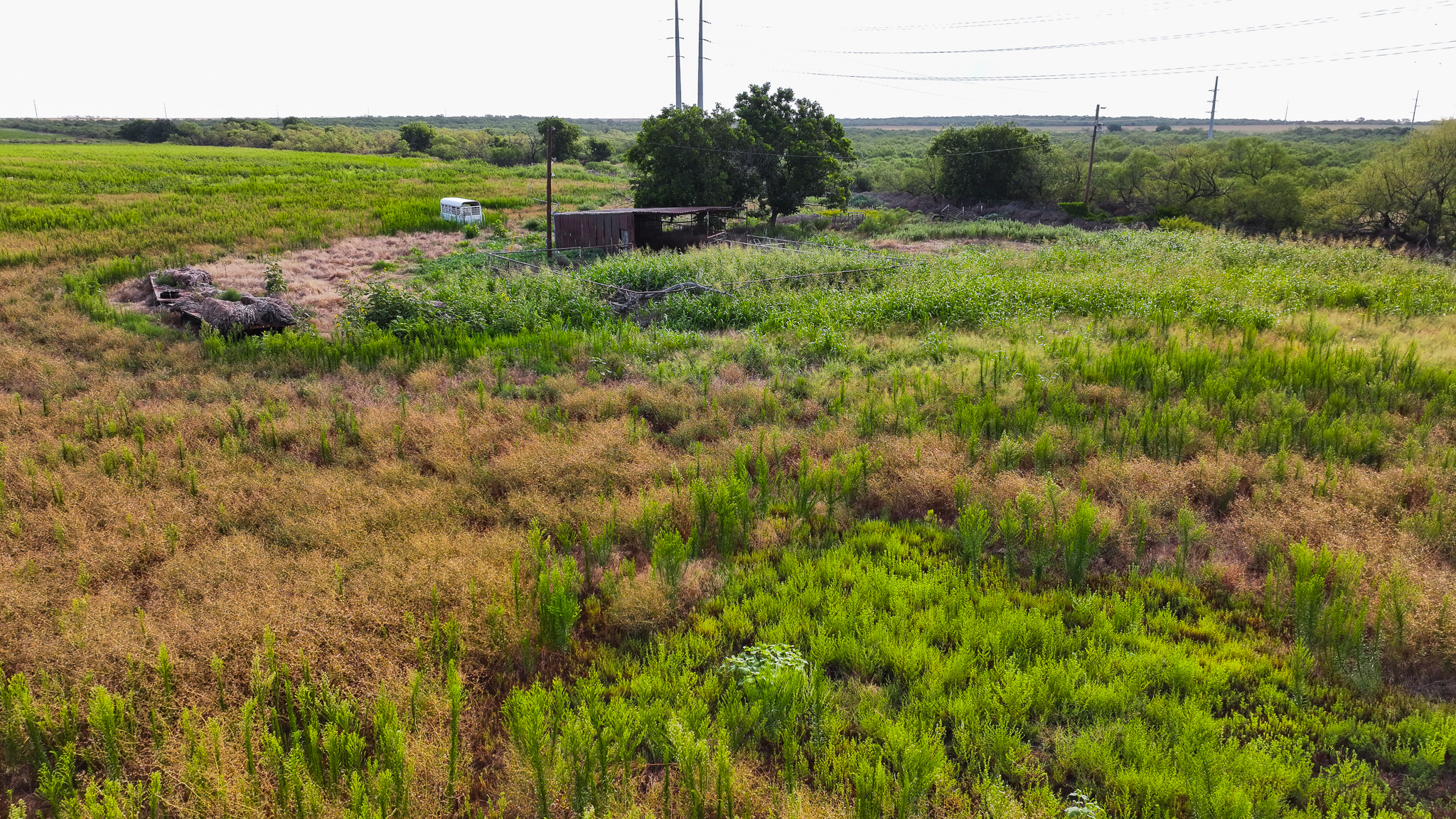 93 acres on Hwy 287 in Hardeman County, Texas  TBD Hwy 287, Quanah, Texas, 79252