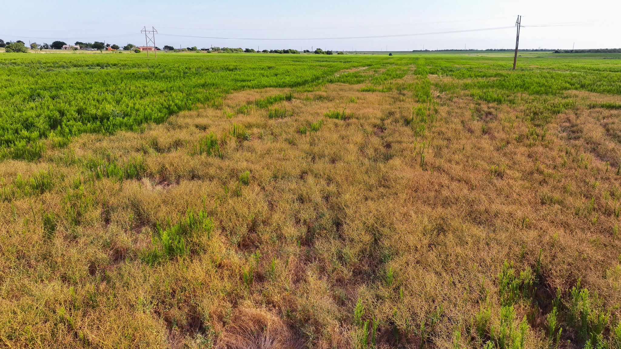 93 acres on Hwy 287 in Hardeman County, Texas  TBD Hwy 287, Quanah, Texas, 79252
