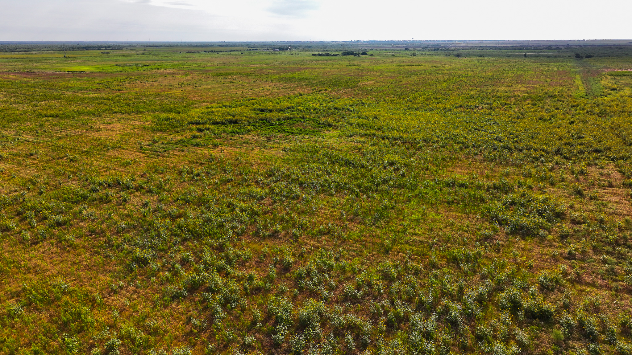Quanah, Texas Ranch, Farm and Hunting Property