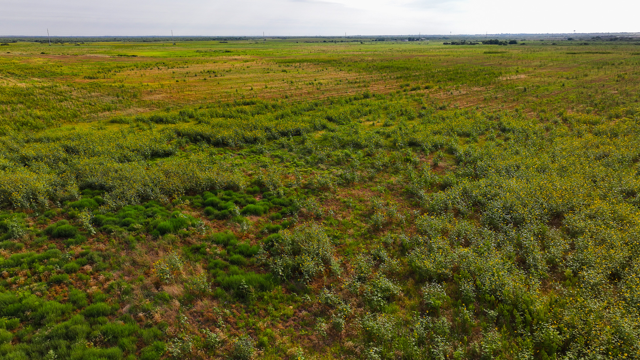 Quanah, Texas Ranch, Farm and Hunting Property