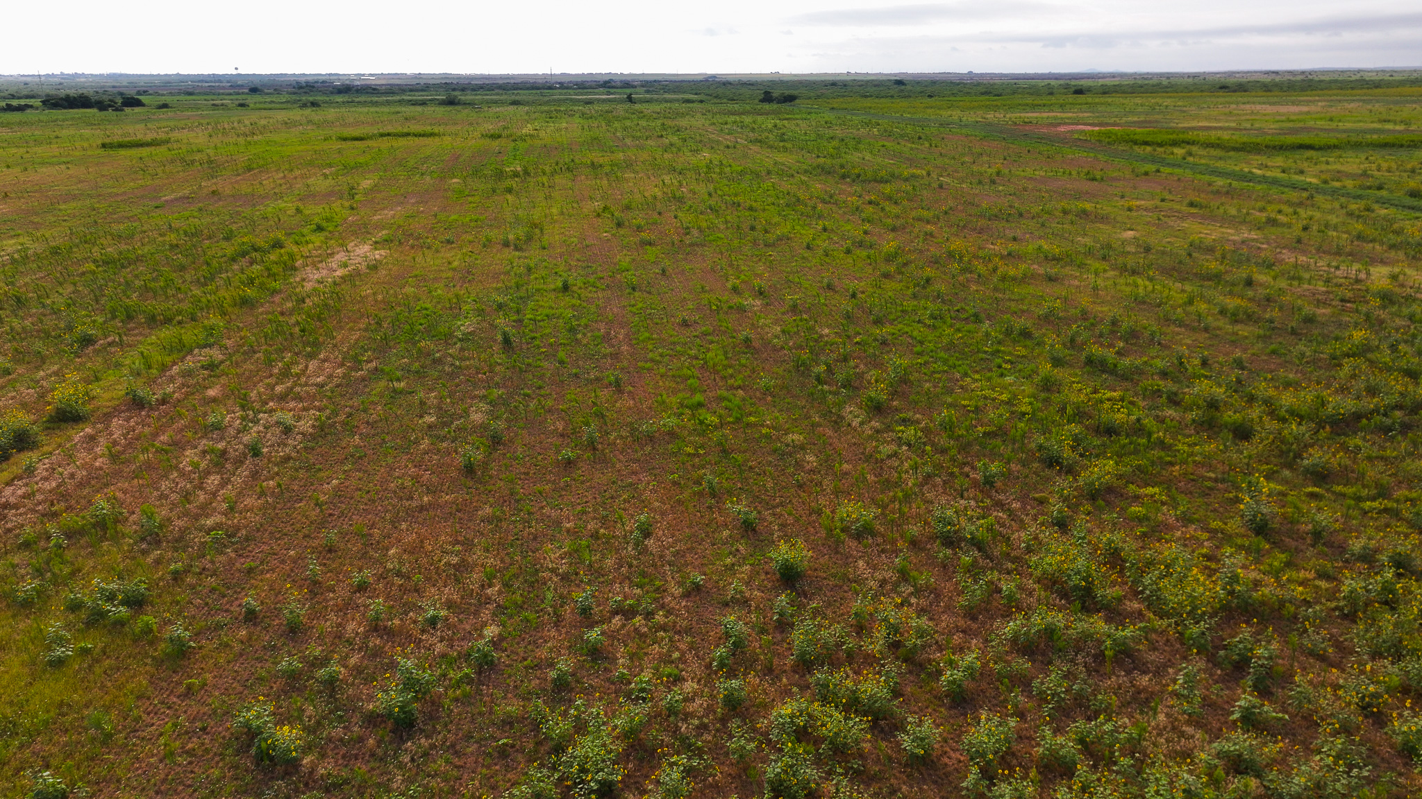 Quanah, Texas Ranch, Farm and Hunting Property
