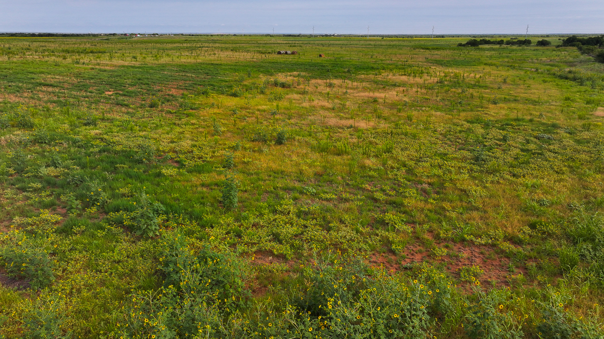 Quanah, Texas Ranch, Farm and Hunting Property