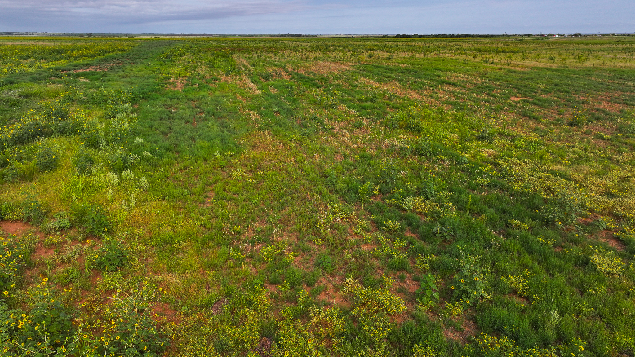 Quanah, Texas Ranch, Farm and Hunting Property