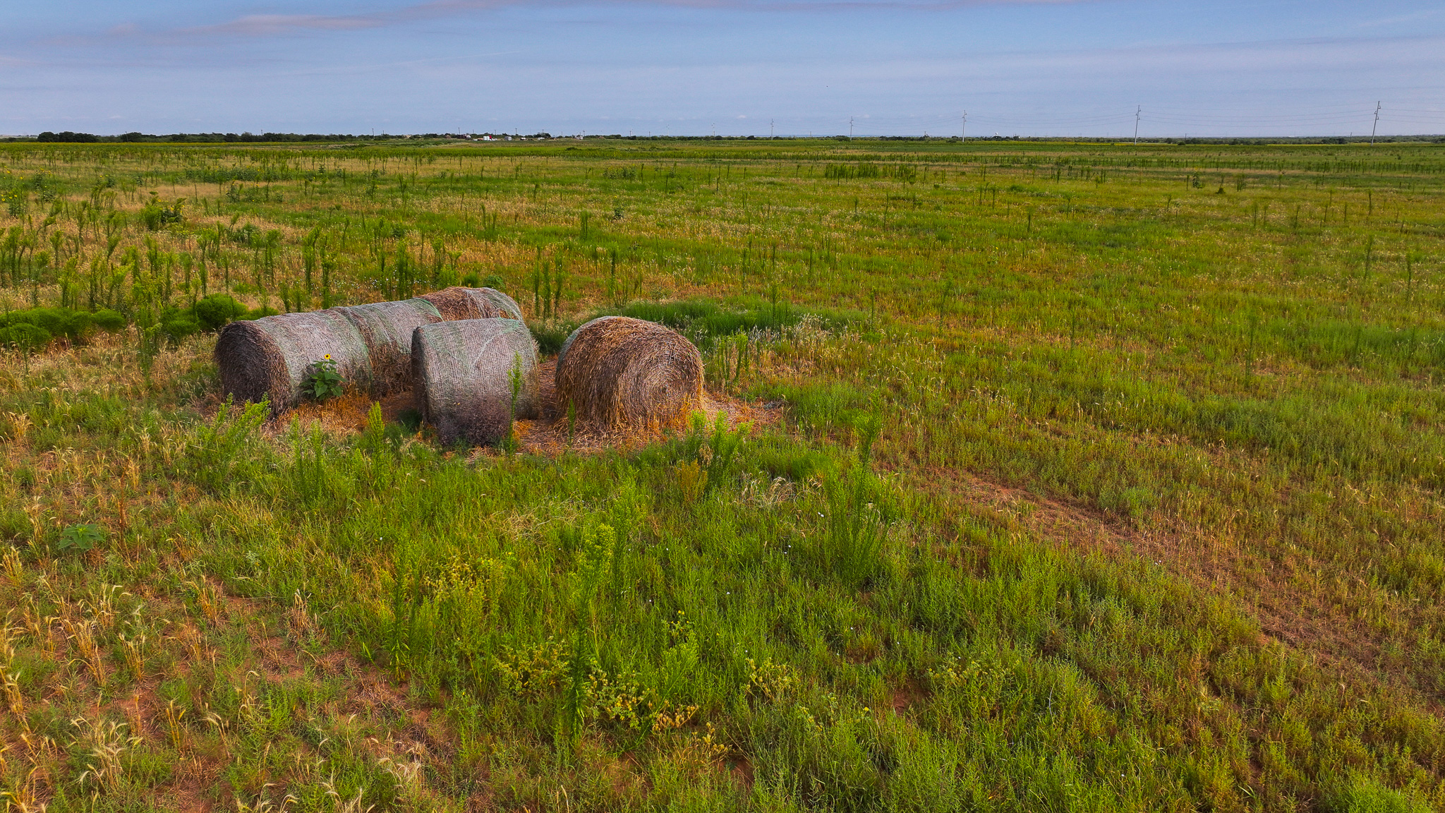 Quanah, Texas Ranch, Farm and Hunting Property