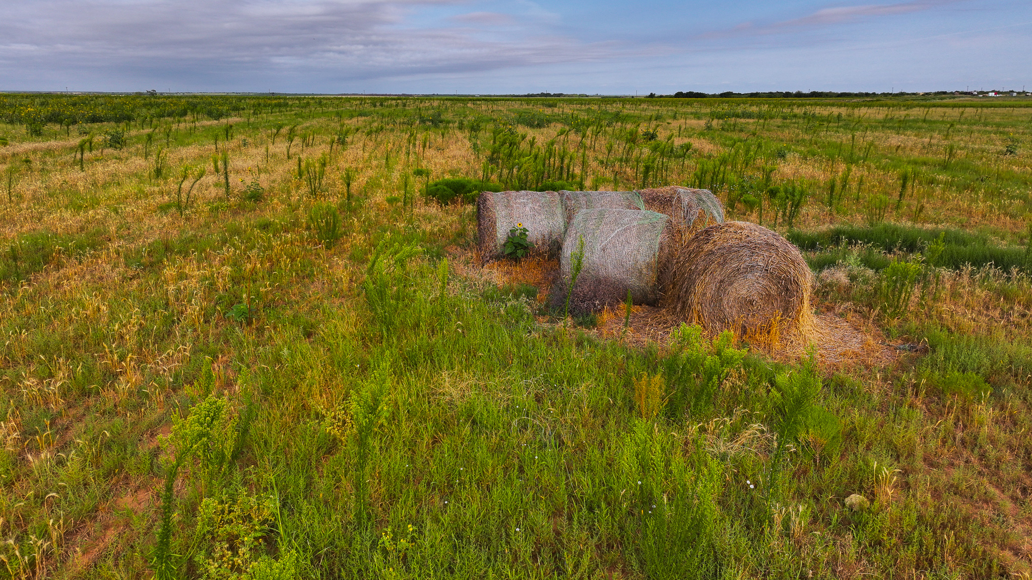 Quanah, Texas Ranch, Farm and Hunting Property