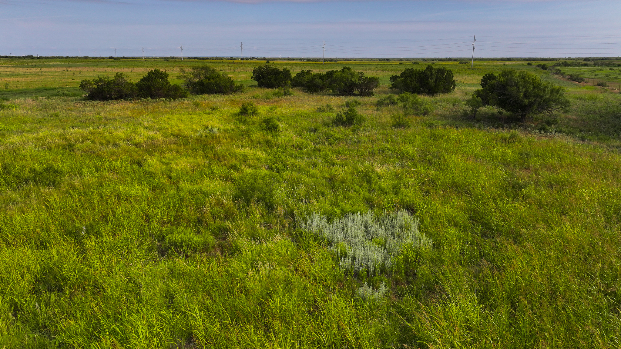 Quanah, Texas Ranch, Farm and Hunting Property