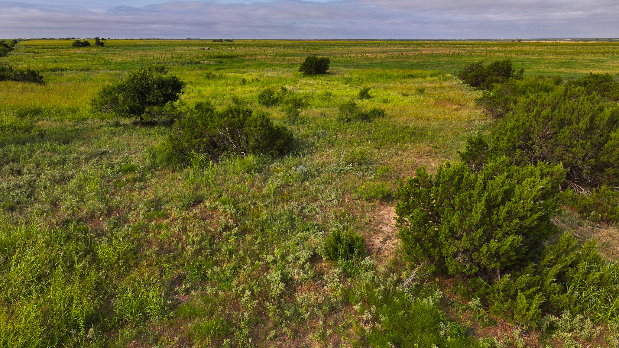 Quanah, Texas Ranch, Farm and Hunting Property