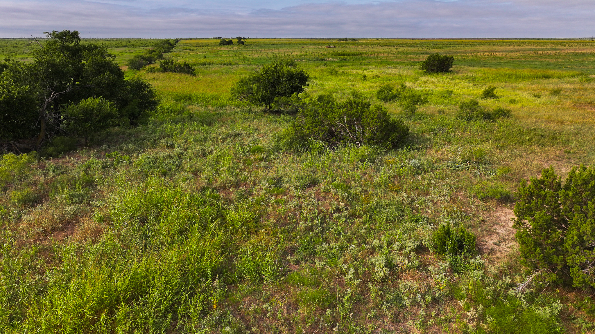 Quanah, Texas Ranch, Farm and Hunting Property