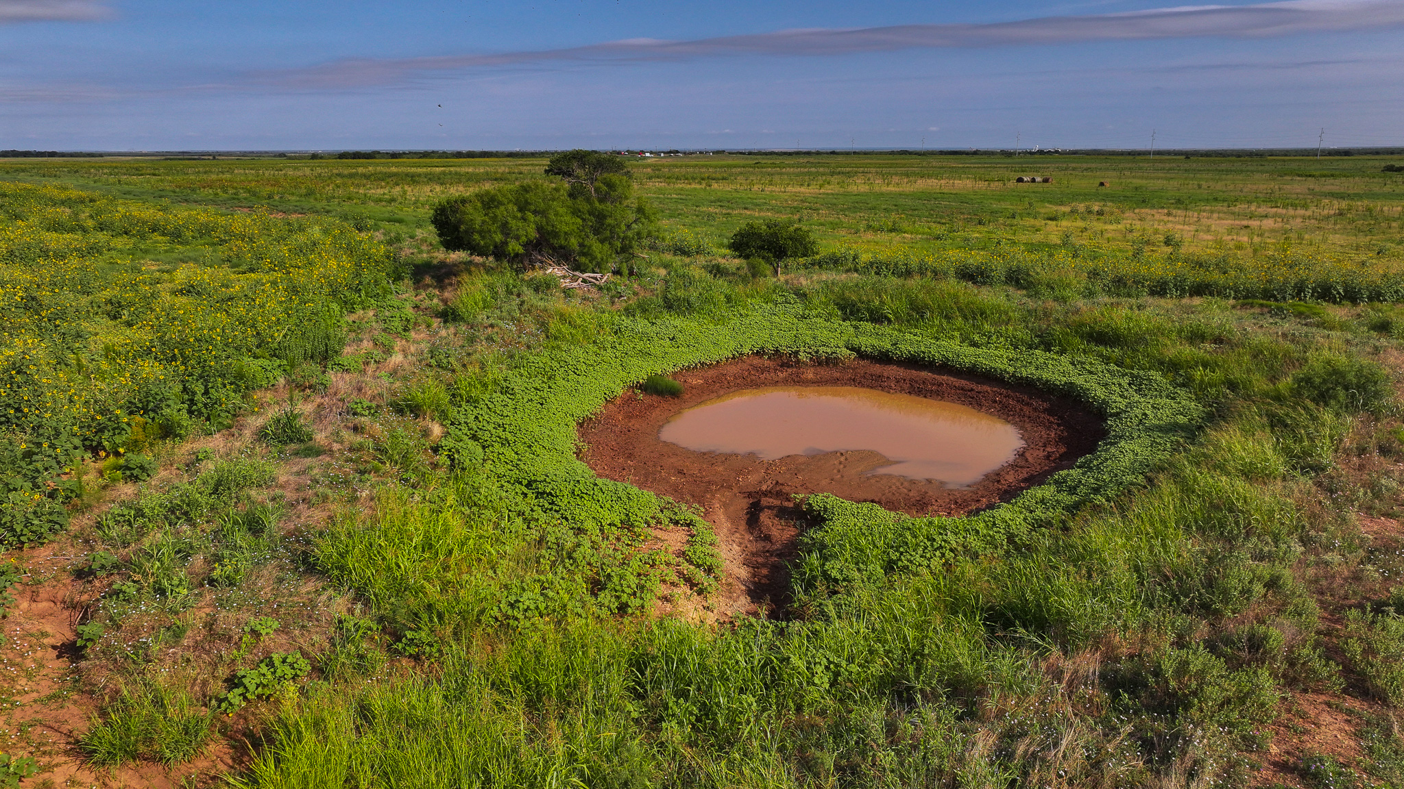 Quanah, Texas Ranch, Farm and Hunting Property