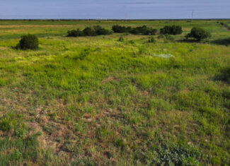 Quanah, Texas Ranch, Farm and Hunting Property