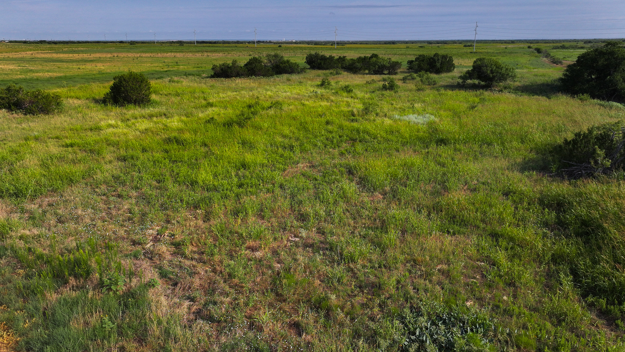 Quanah, Texas Ranch, Farm and Hunting Property