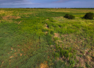 Quanah, Texas Ranch, Farm and Hunting Property