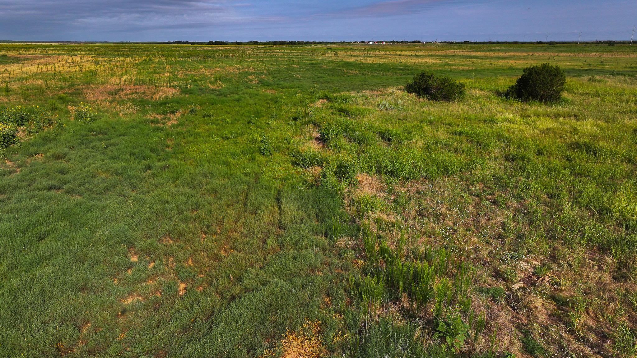Quanah, Texas Ranch, Farm and Hunting Property