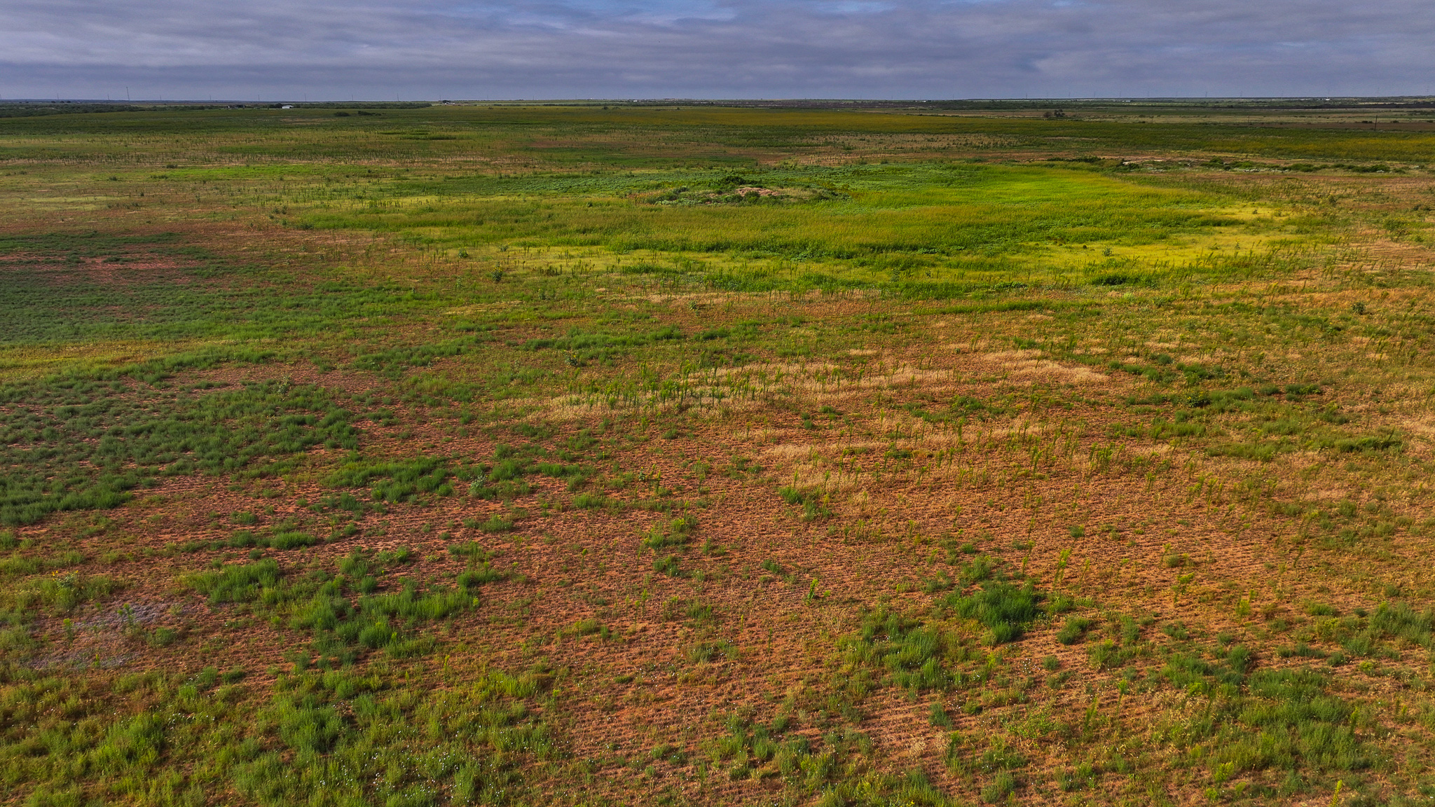 Quanah, Texas Ranch, Farm and Hunting Property