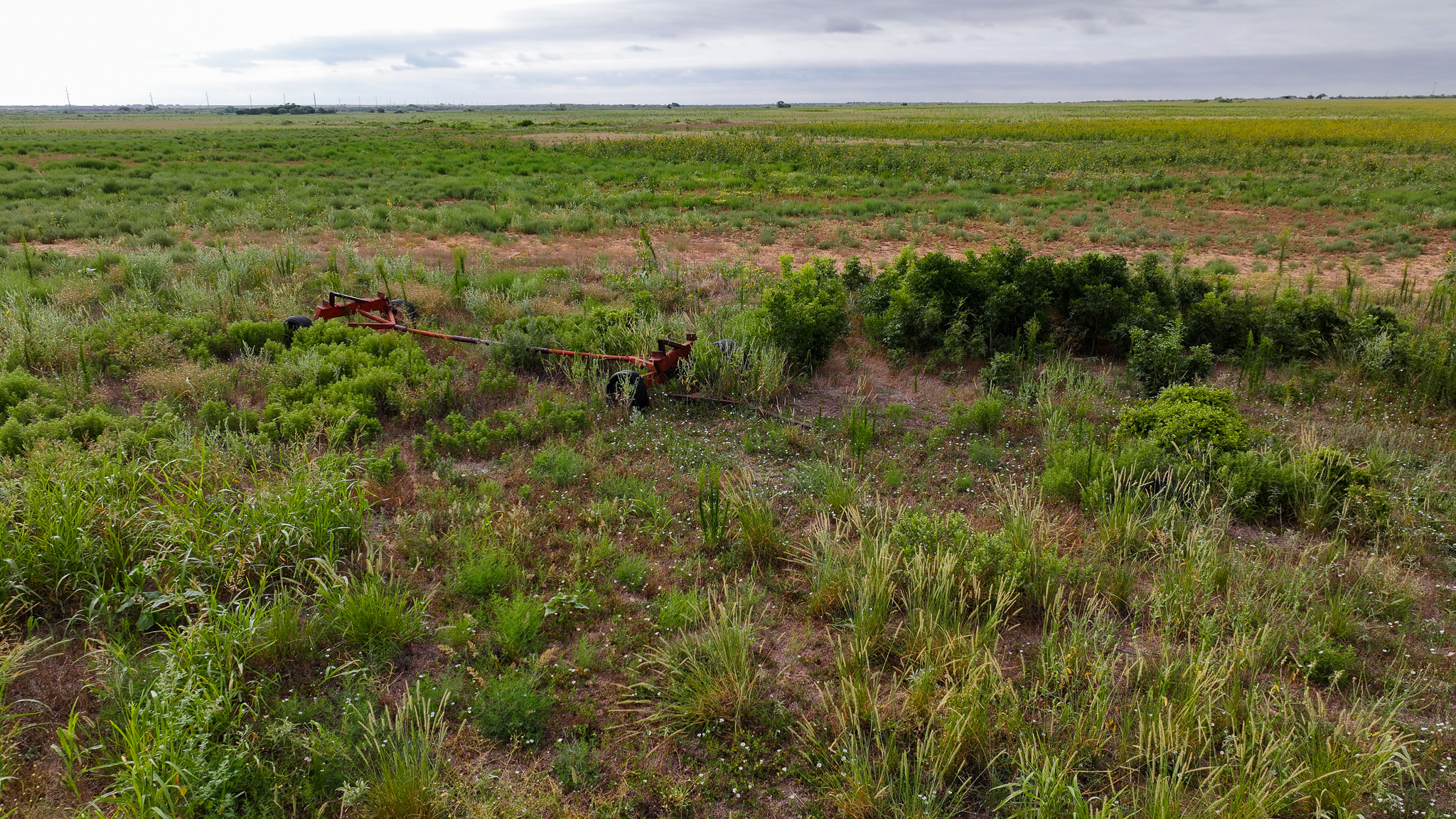Quanah, Texas Ranch, Farm and Hunting Property