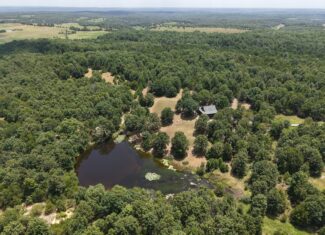 LOG HOME AND ACREAGE FOR SALE IN NORTH CENTRAL ARKANSAS