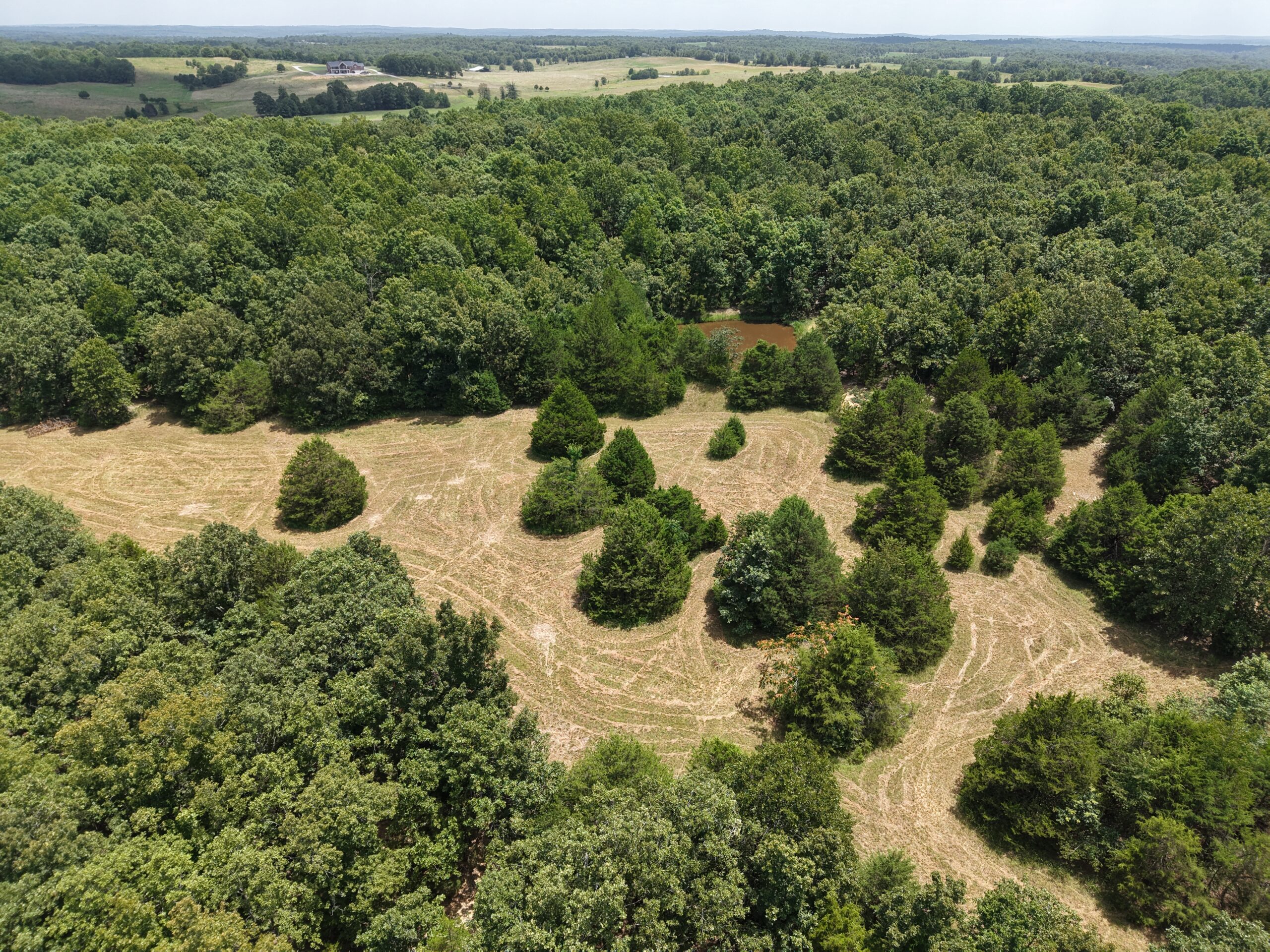 LOG HOME AND ACREAGE FOR SALE IN NORTH CENTRAL ARKANSAS