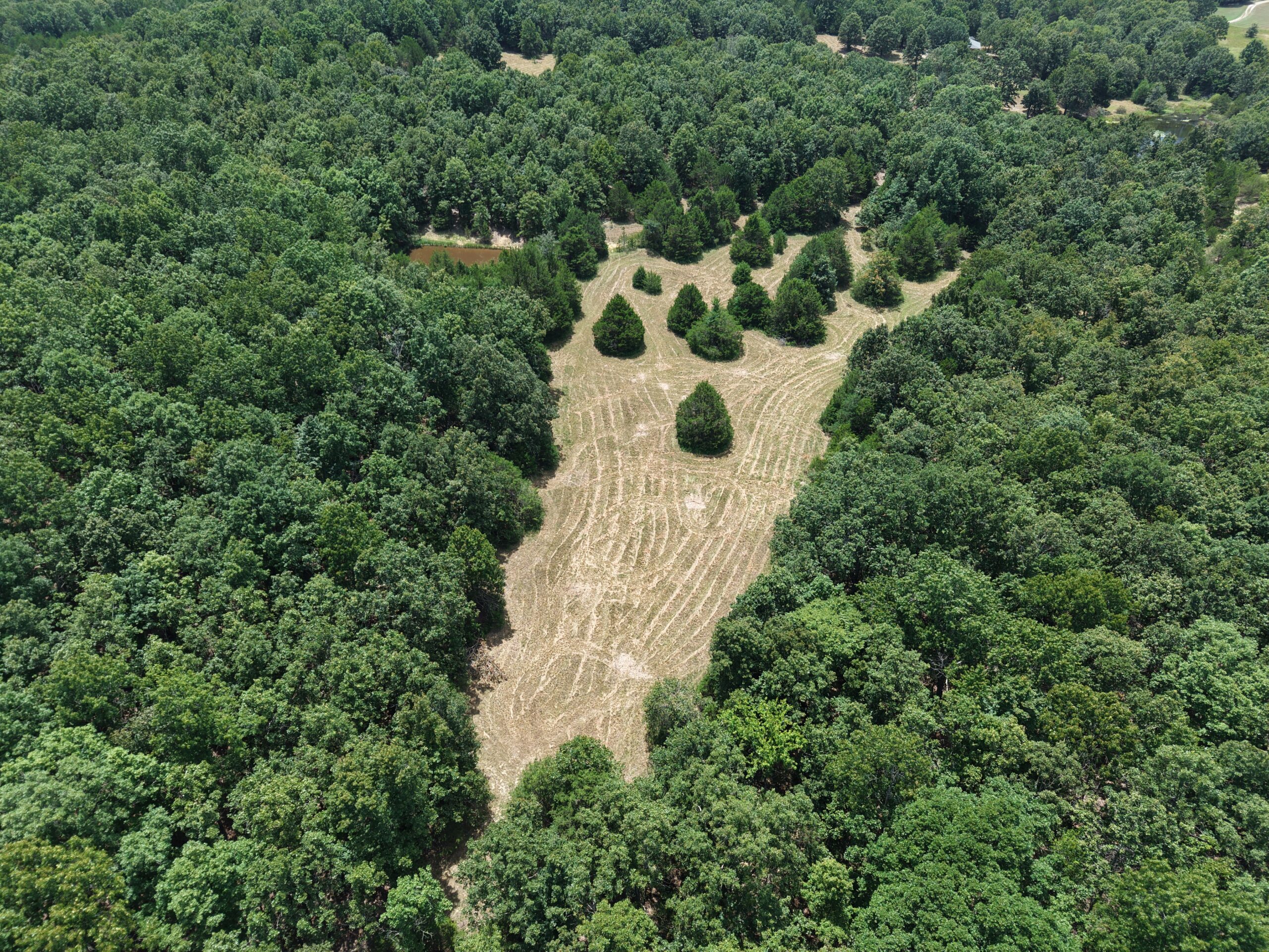 LOG HOME AND ACREAGE FOR SALE IN NORTH CENTRAL ARKANSAS