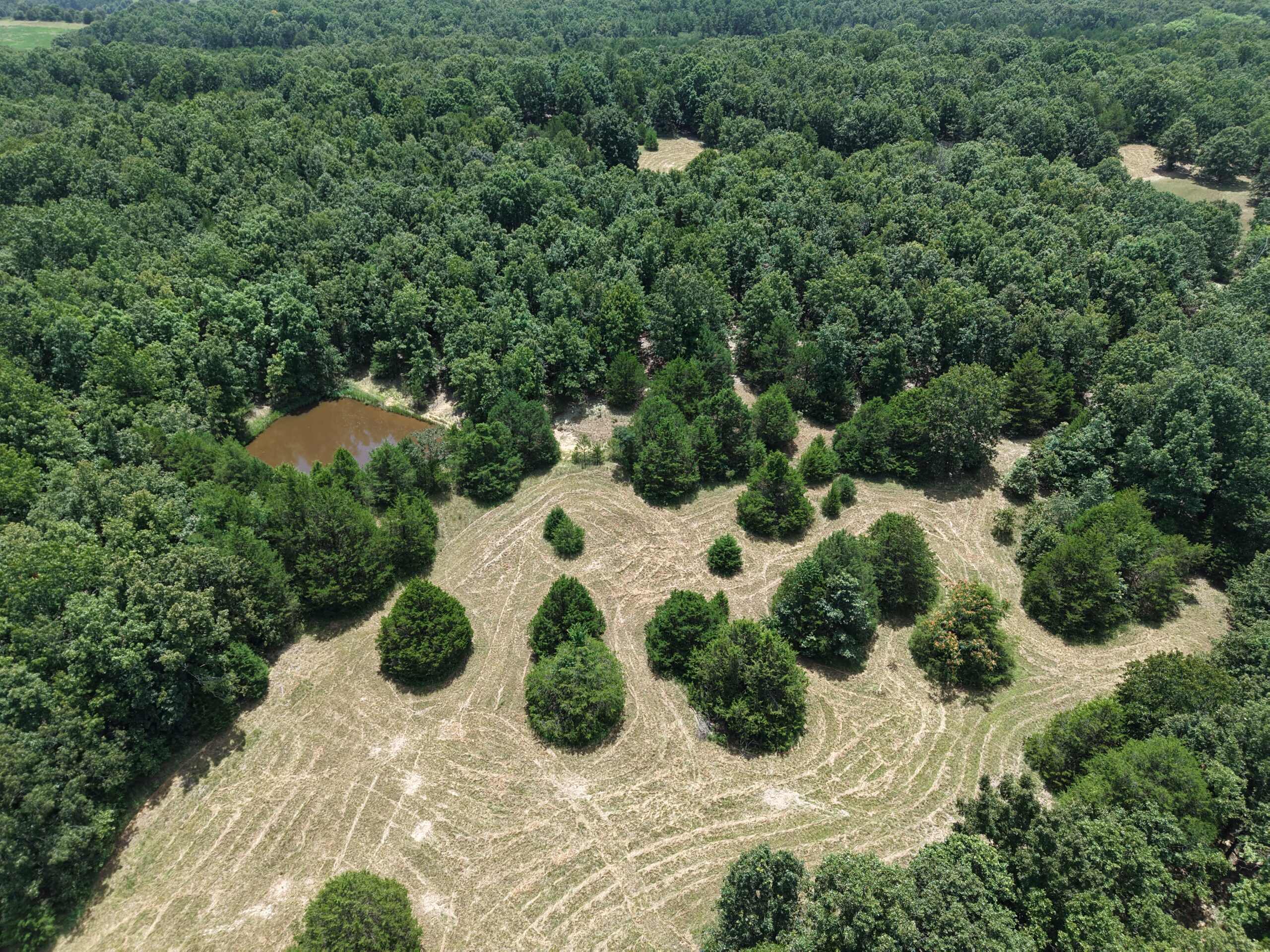 LOG HOME AND ACREAGE FOR SALE IN NORTH CENTRAL ARKANSAS