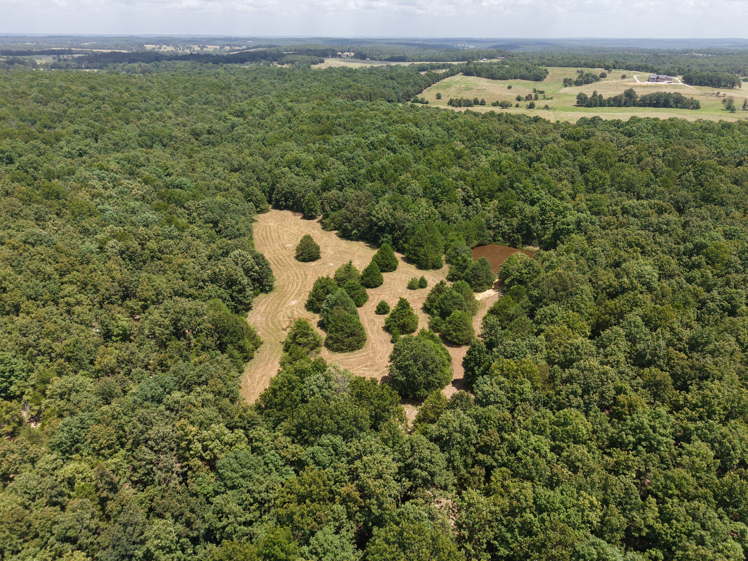 LOG HOME AND ACREAGE FOR SALE IN NORTH CENTRAL ARKANSAS
