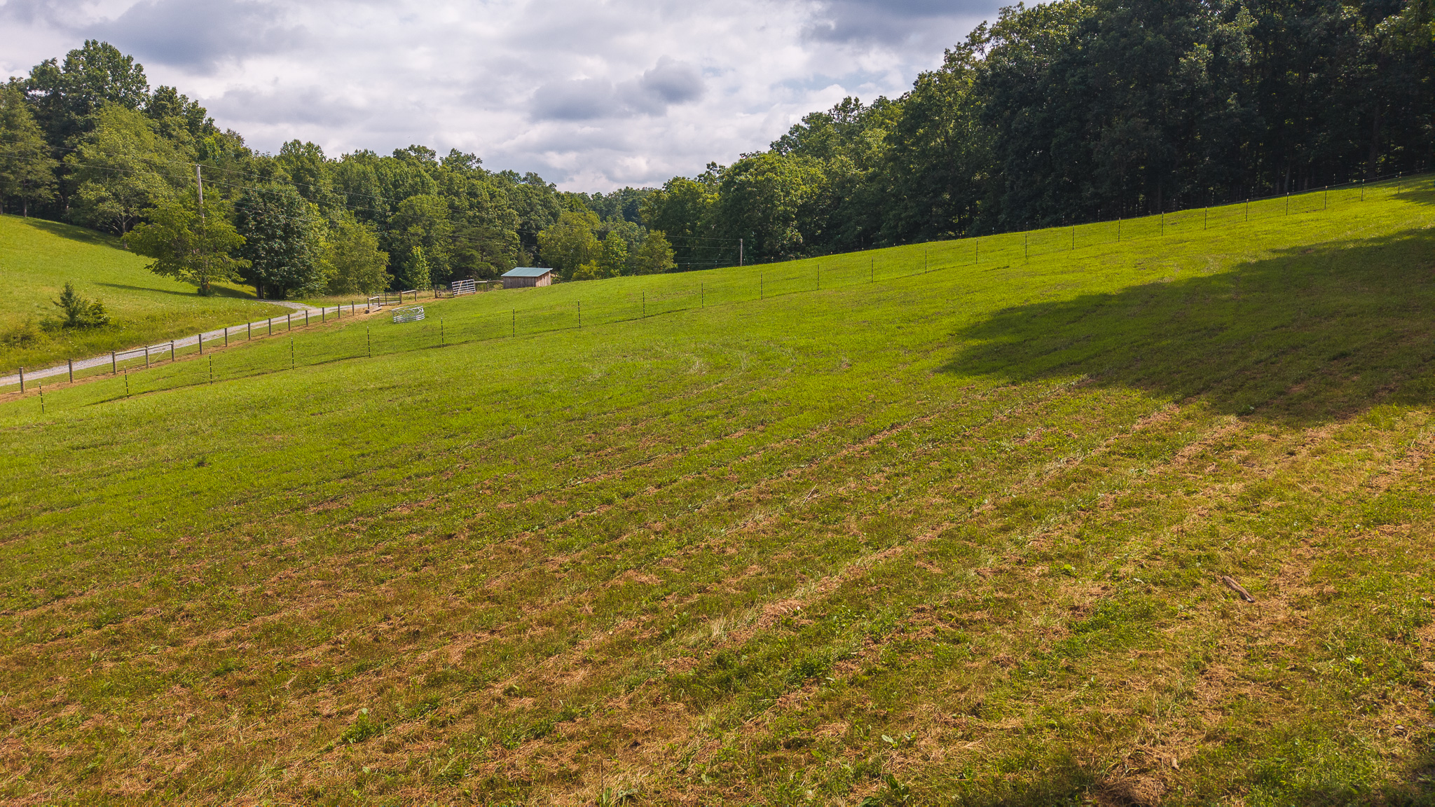 The Sportsman’s Sanctuary: 124 Acres of Pure East Tennessee Wild Hawkins County