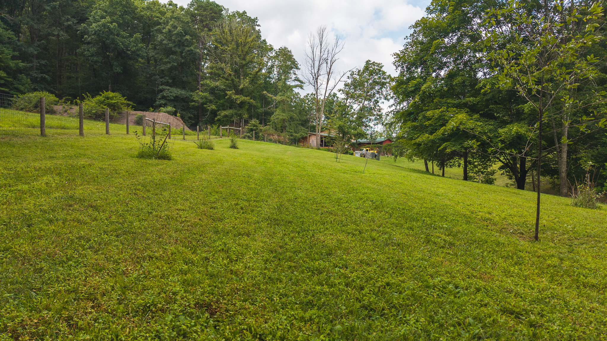 The Sportsman’s Sanctuary: 124 Acres of Pure East Tennessee Wild Hawkins County