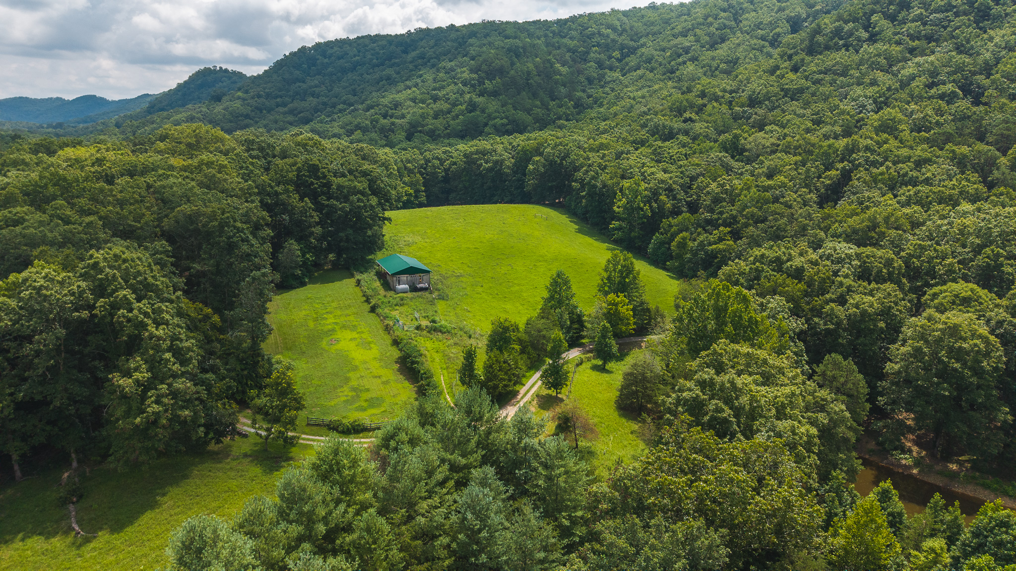The Sportsman’s Sanctuary: 124 Acres of Pure East Tennessee Wild Hawkins County