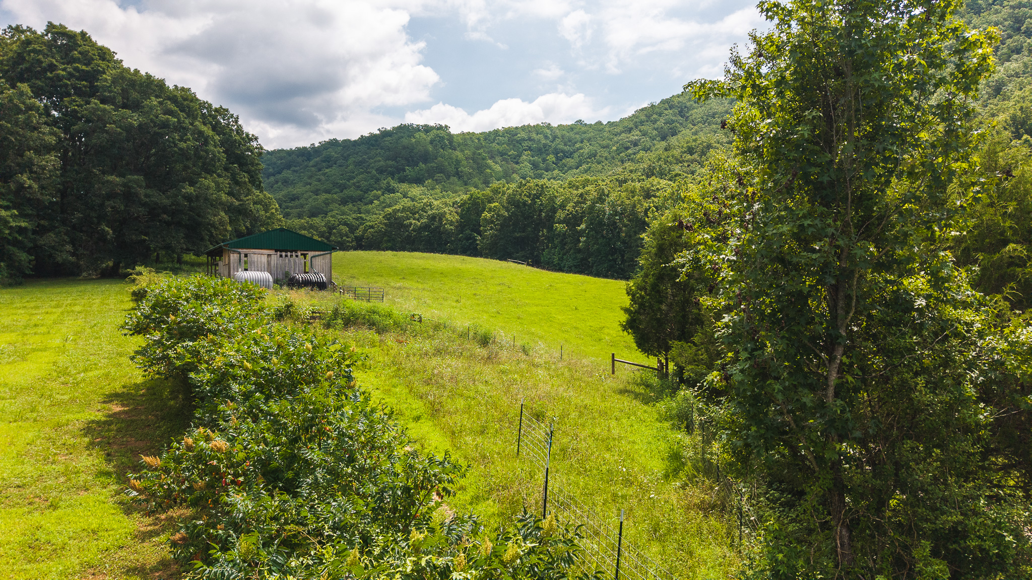 The Sportsman’s Sanctuary: 124 Acres of Pure East Tennessee Wild Hawkins County