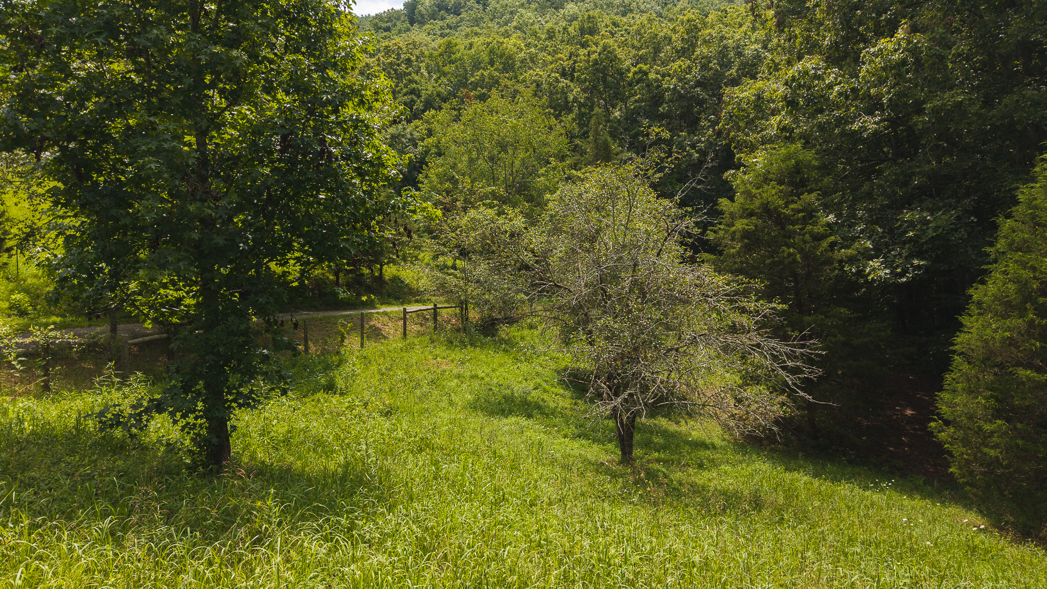 The Sportsman’s Sanctuary: 124 Acres of Pure East Tennessee Wild Hawkins County