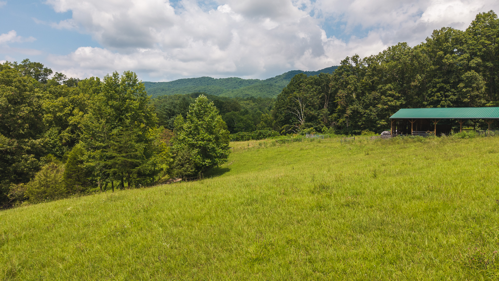 The Sportsman’s Sanctuary: 124 Acres of Pure East Tennessee Wild Hawkins County