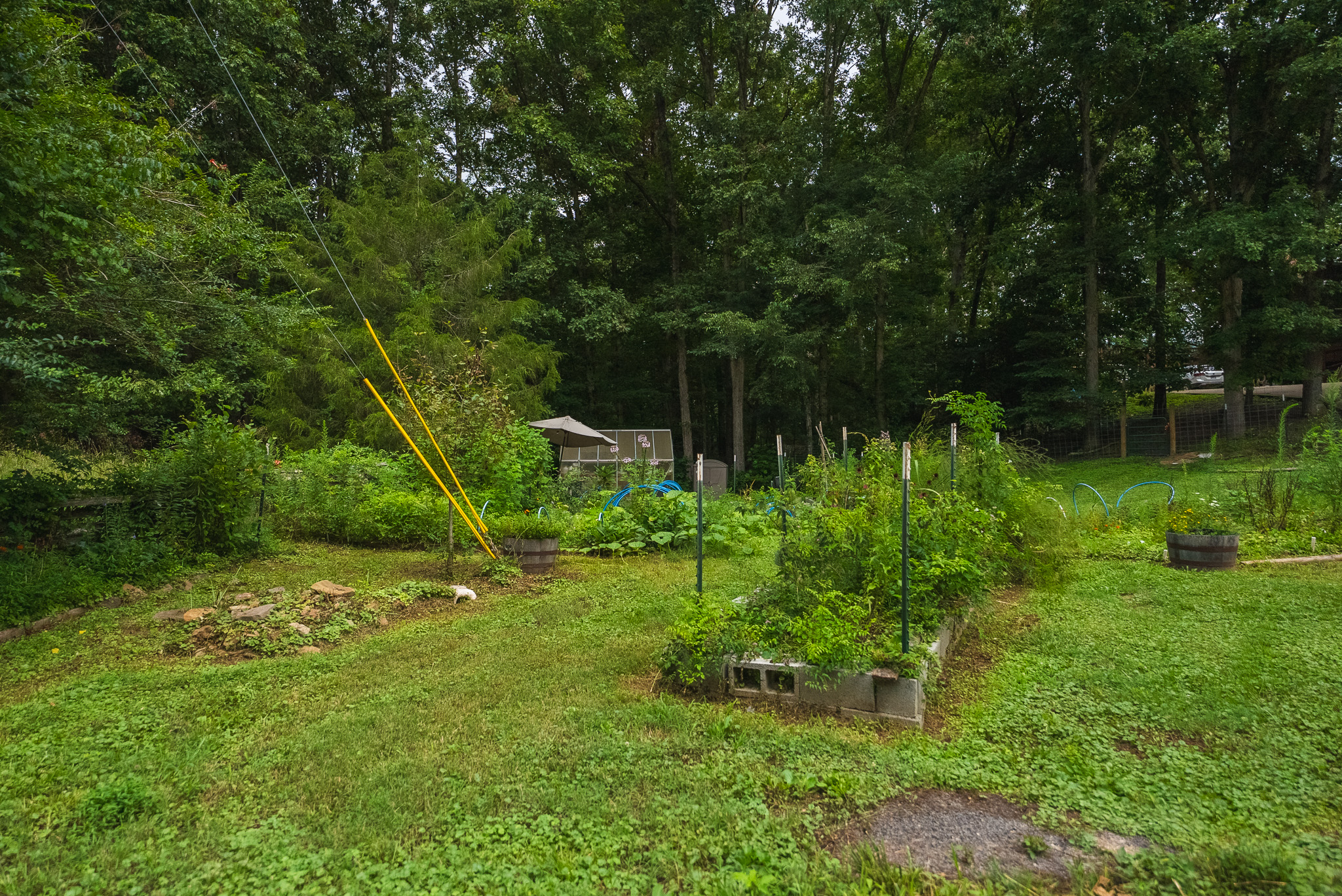 The Sportsman’s Sanctuary: 124 Acres of Pure East Tennessee Wild Hawkins County