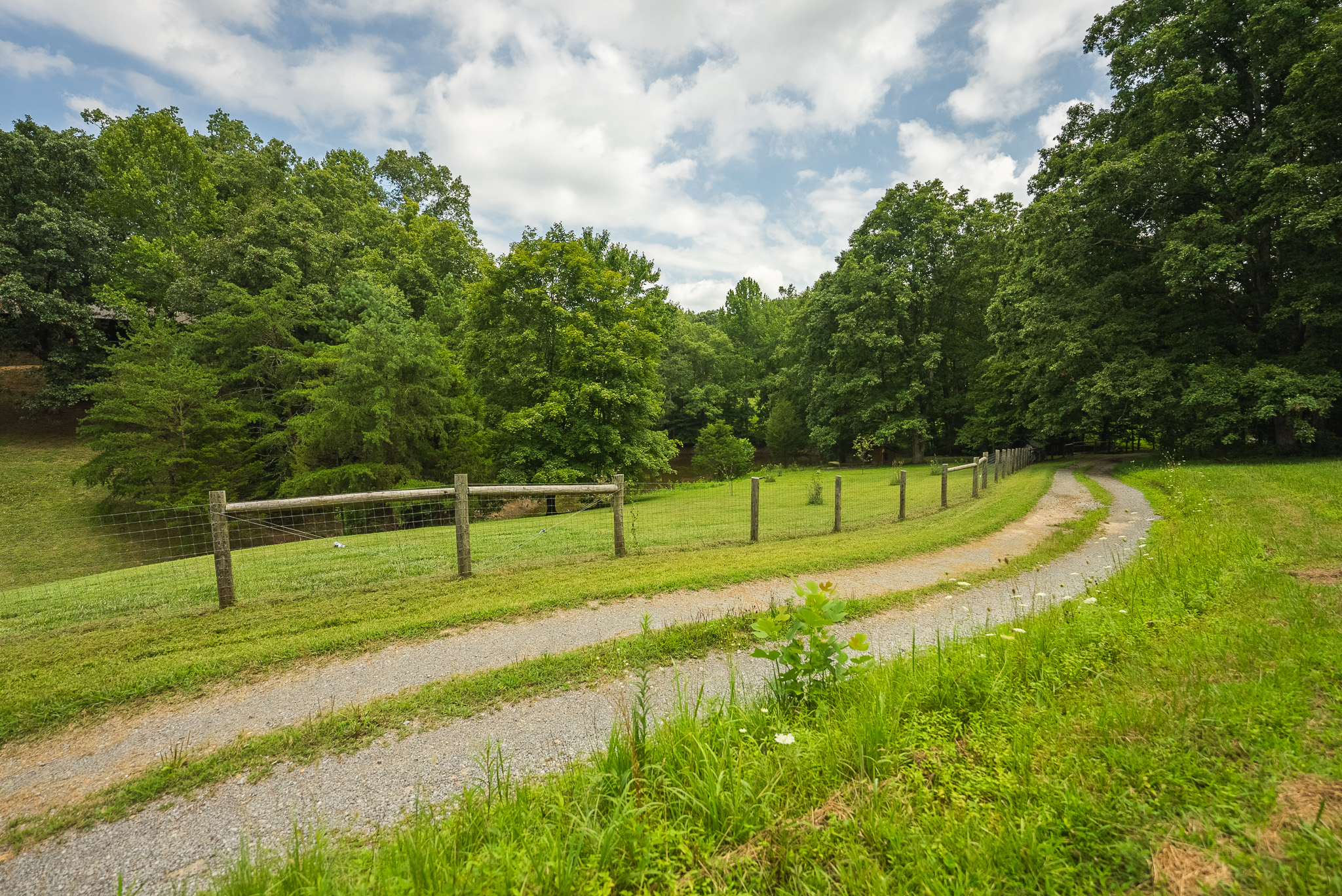 The Sportsman’s Sanctuary: 124 Acres of Pure East Tennessee Wild Hawkins County