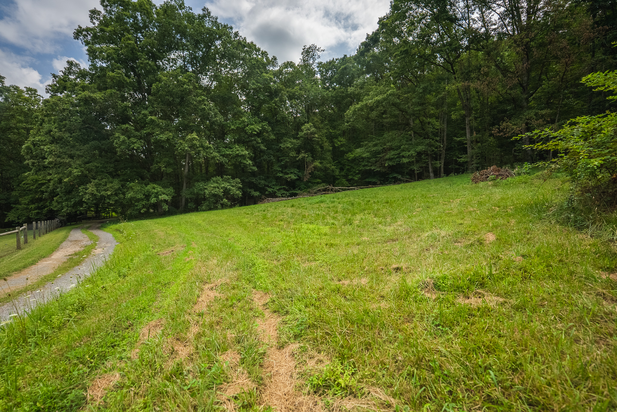 The Sportsman’s Sanctuary: 124 Acres of Pure East Tennessee Wild Hawkins County