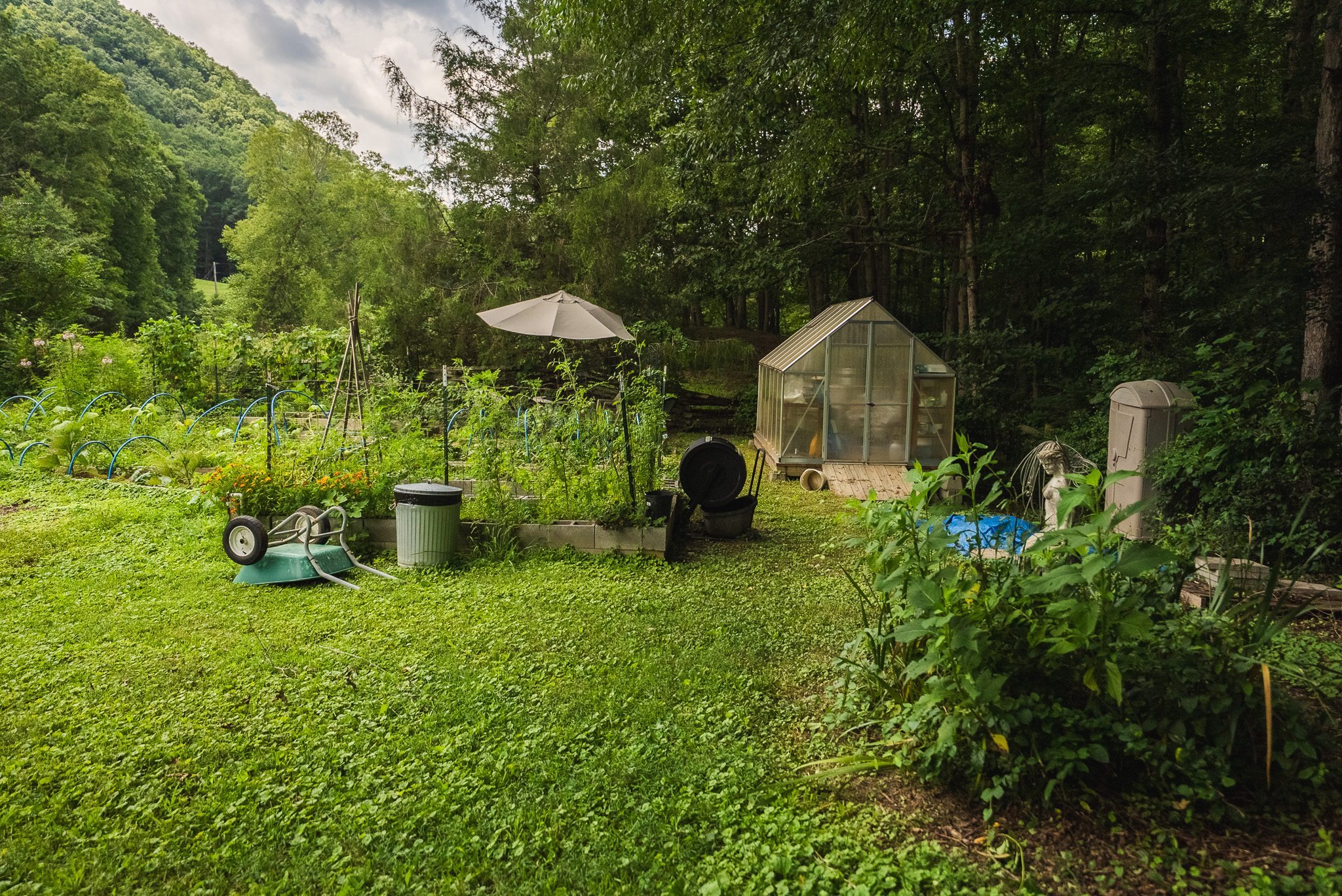 The Sportsman’s Sanctuary: 124 Acres of Pure East Tennessee Wild Hawkins County