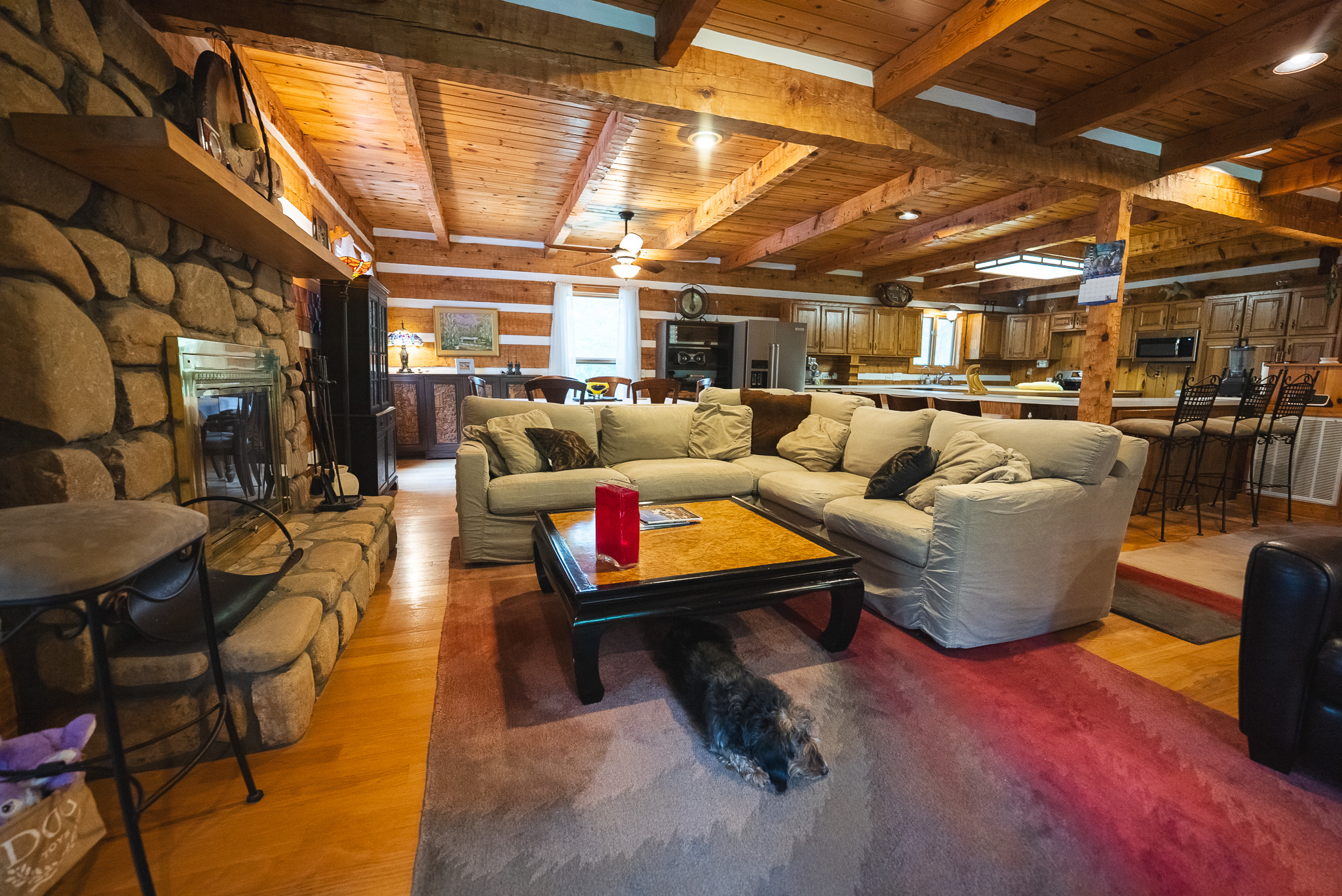 The Sportsman’s Sanctuary: 124 Acres of Pure East Tennessee Wild Hawkins County