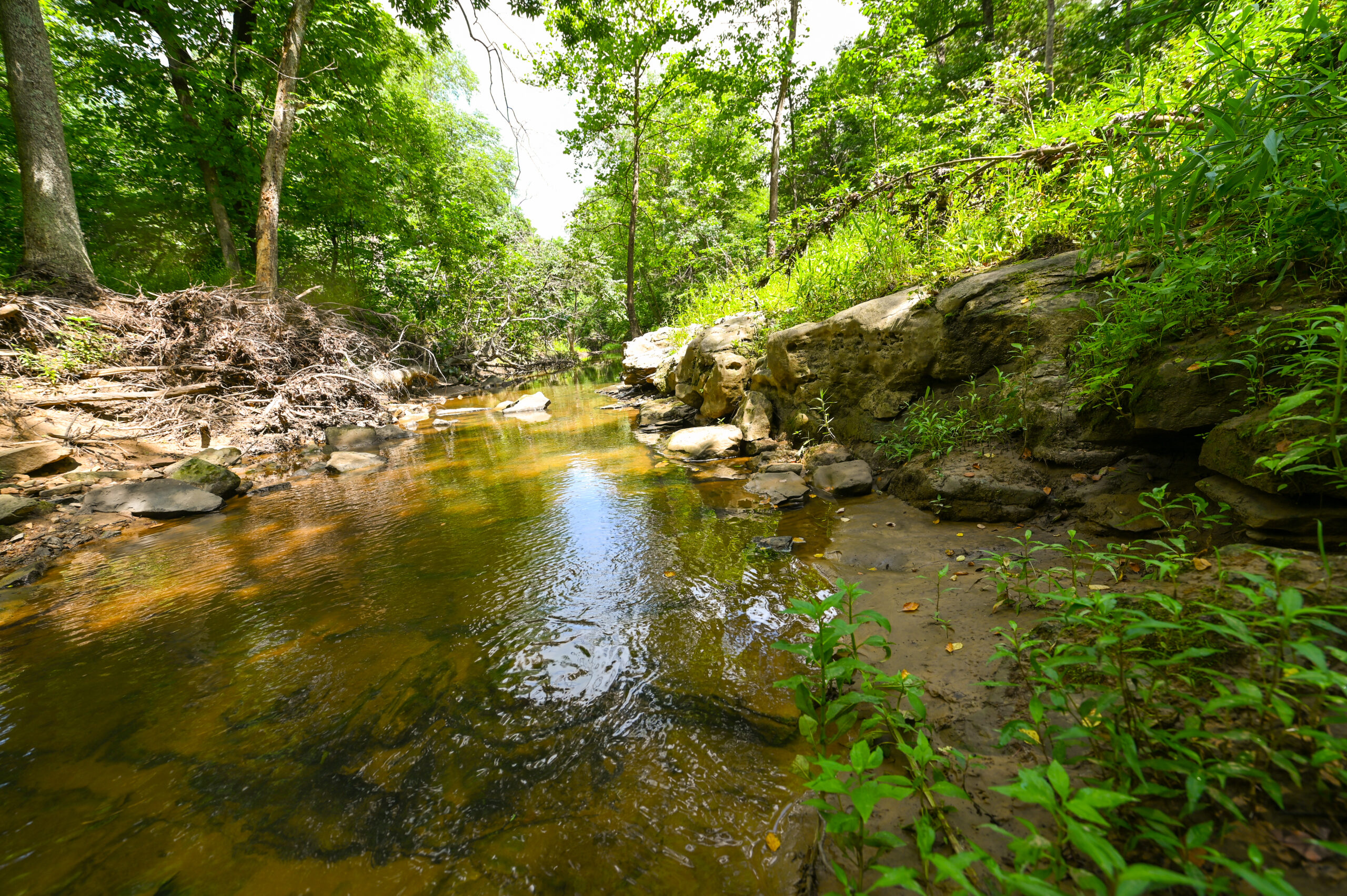Land For Sale Barton County, MO 160± acres
