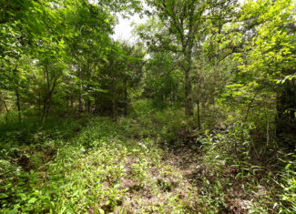 Land For Sale Barton County, MO 160± acres