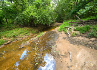 Land For Sale Barton County, MO 160± acres