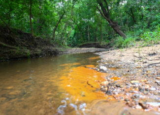 Land For Sale Barton County, MO 160± acres