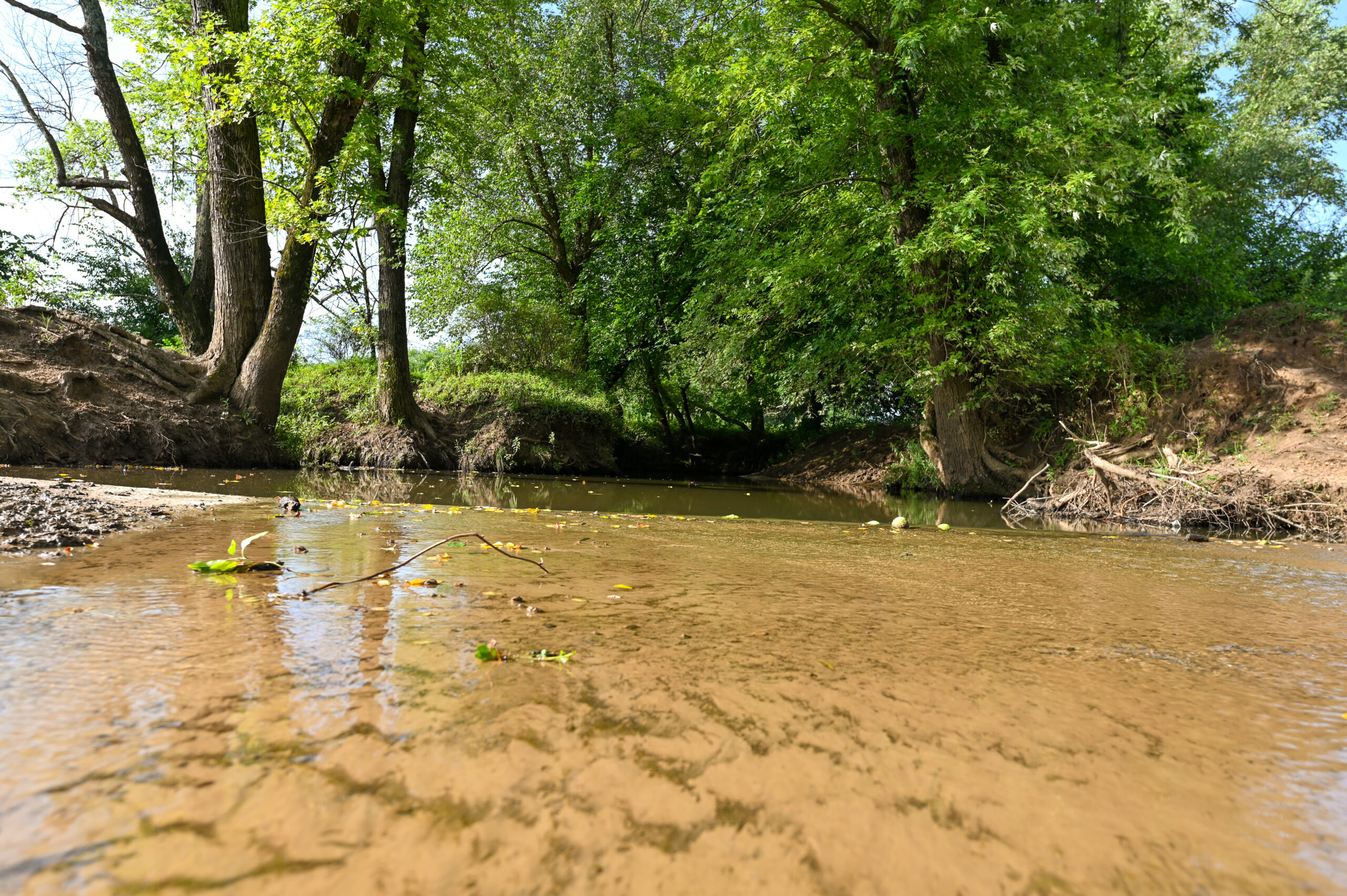 142+\- acres  For Sale El Dorado Springs MO