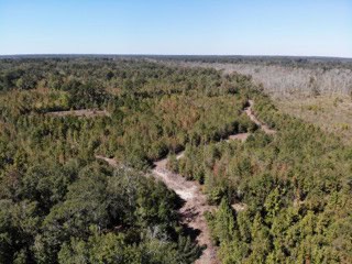 South Carolina Hunting Land for Sale